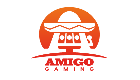 footerProv-AMIGO